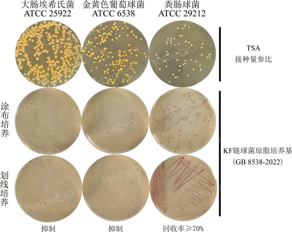 图1 KF链球菌琼脂培养基（GB 8538-2022）的微生物质控结果