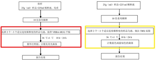 大肠埃希氏菌平板计数法检验程序（左：2012版   右：征求意见稿）