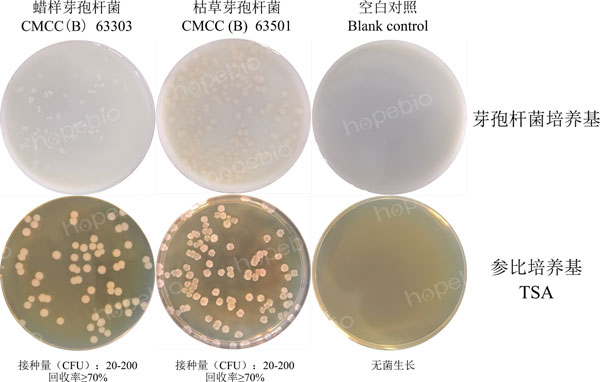 图1 芽孢杆菌培养基的微生物质控结果