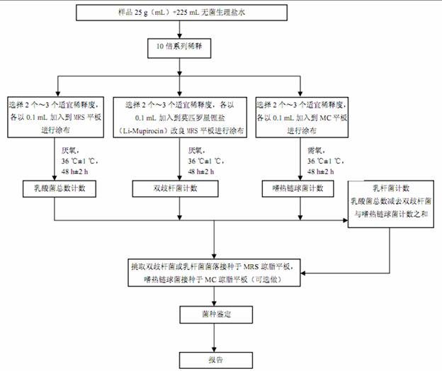 乳酸菌检验程序