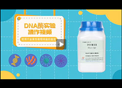 操作视频｜DNA酶琼脂实验视频