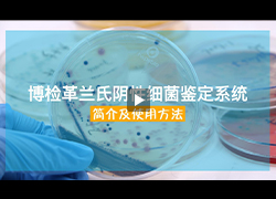 操作视频｜博检革兰氏阴性细菌鉴定系统简介及使用方法