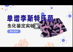 操作视频｜单增李斯特氏菌的生化鉴定操作视频