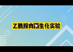 操作视频｜乙酰胺肉汤实验