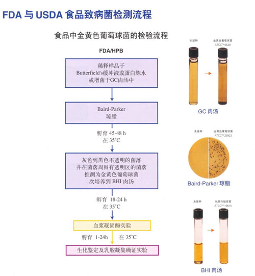 FDA与USDA食品致病菌检测流程中食品中金黄色葡萄球菌检测流程